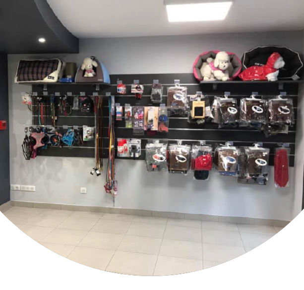 A.C.S - Métamorphose