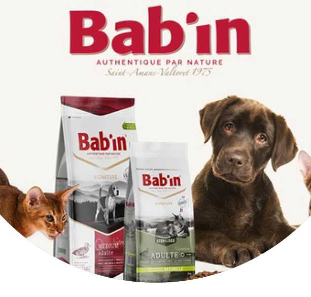 A.C.S - Métamorphose